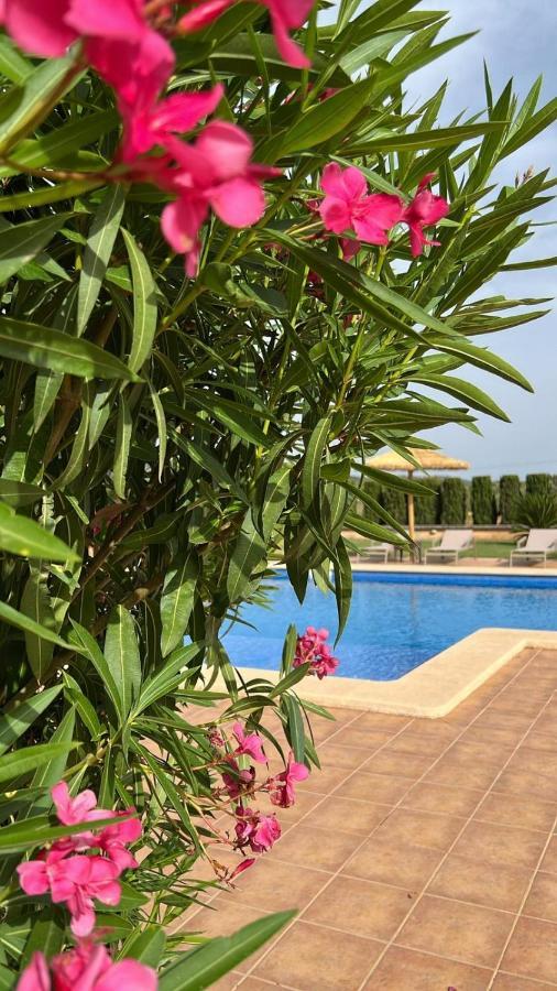 Готель Finca Sol Y Vida - Agroturismo Son Sampoli Льюкмайор Екстер'єр фото