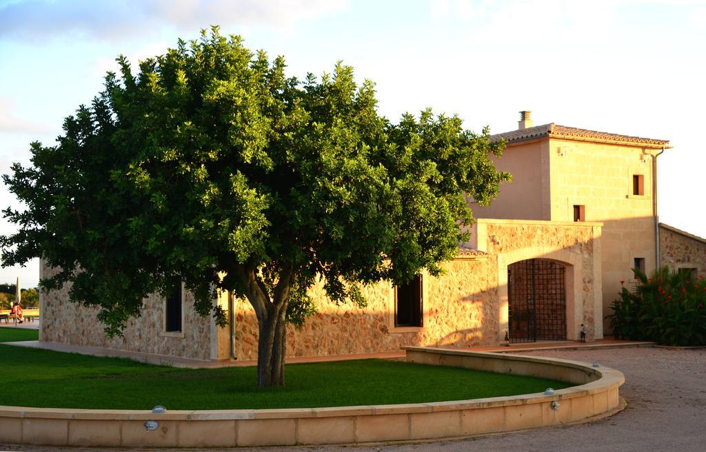 Готель Finca Sol Y Vida - Agroturismo Son Sampoli Льюкмайор Екстер'єр фото